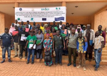 Mandiana : le PIDACC_BN Guinée au front pour sauver le fleuve Niger,un atelier de 4 jours lancé.