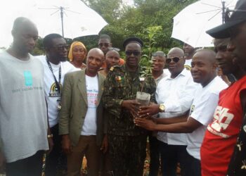 Kankan: Après la Mamaya,sèdè Dandiyaya 4 lance une campagne de reboisement