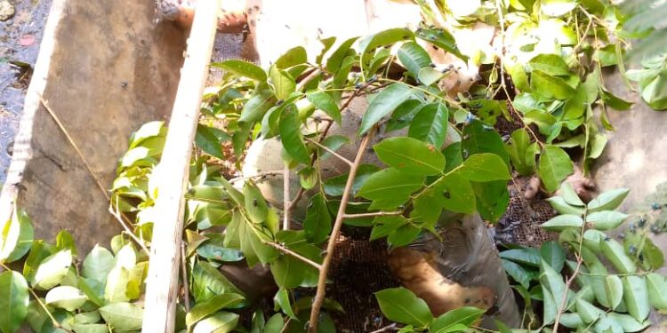 Siguiri : Deux découvertes de corps en une journée