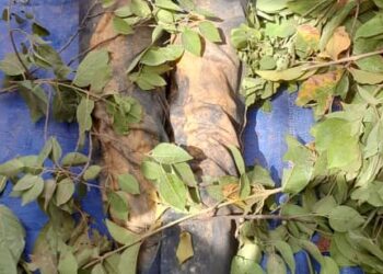 Siguiri : un deuxième éboulement à Didi fait un mort