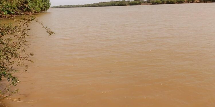Exploitation minière et pollution : la justice se saisit du dossier à Banko