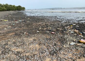Guinée : Kaback Bossimiyah, une ville côtière victime des effets du changement climatique