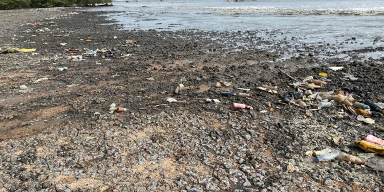 Guinée : Kaback Bossimiyah, une ville côtière victime des effets du changement climatique