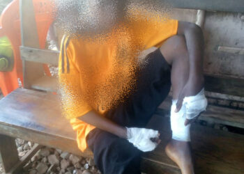 Lèro : Risque de zoonose, après la morsure de 7 personnes par un chien errant. 