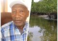 Pr Kandet Bangoura : « La mangrove, un écosystème qui subit en Guinée..»