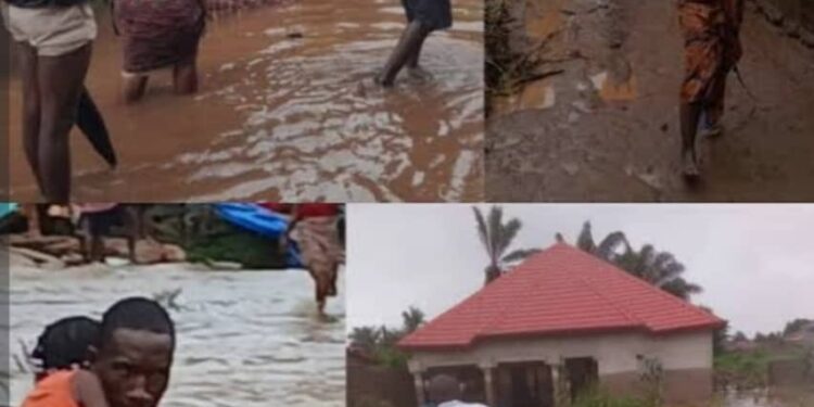 Guinée : face aux inondations, les citoyens de Coyah sont partagés entre dénonciation et inquiétude.