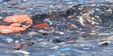 Guinée : Kassa, une île étouffée par les déchets plastiques