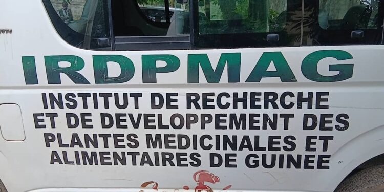 Un joyau écologique au cœur de Dubreka : le jardin botanique de l’IRDP-MAG