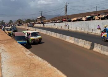 GUINÉE : QUELLES PRIORITÉS POUR LE SEPTENNAT ? RÉACTIONS DES CITOYENS DE CONAKRY