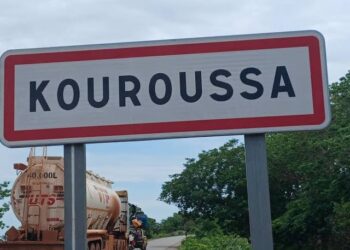Kouroussa : des produits périmés et prohibés incinérés