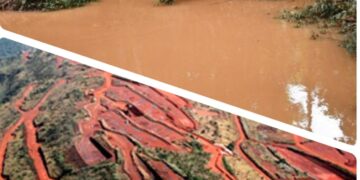 Impacts environnementaux du projet simandou : le comité de suivi de Beyla publie son rapport annuel.