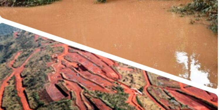 Impacts environnementaux du projet simandou : le comité de suivi de Beyla publie son rapport annuel.